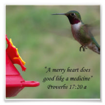 Hummingbird Proverbs 17:20 Bible Verse Photograph