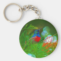 Hummingbird ruby throated key chain