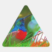 Hummingbird ruby throated stickers
