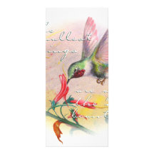 Hummingbird - Small things are the most beautiful. Full Color Rack Card