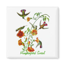 Hummingbird Social Fridge Magnets