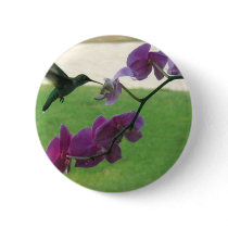 Hummingbird with Orchid Button