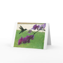 Hummingbird with Orchid Greeting Cards