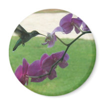Hummingbird with Orchid Refrigerator Magnet