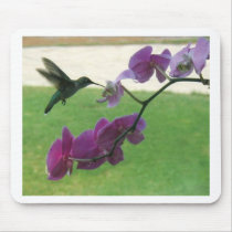 Hummingbird with Orchid Mouse Mat