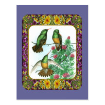Hummingbirds and Flowers #1 Post Card