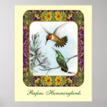 Hummingbirds and Flowers #2 Print
