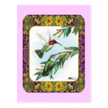Hummingbirds and Flowers #4 Post Card