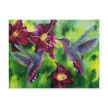Hummingbirds and Lillies Post Card