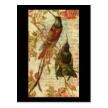 Hummingbirds and Roses Postcard