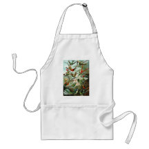 Hummingbirds Apron