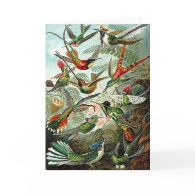 Hummingbirds Greeting Card by mosswood