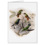 Hummingbirds In Flight - Customized Card