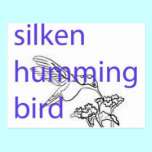 Hummingbirds postcards