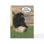 Humorous Belated Birthday "APEology" cards