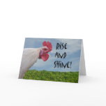 Humorous Chicken Rise and Shine Happy Birthday Card