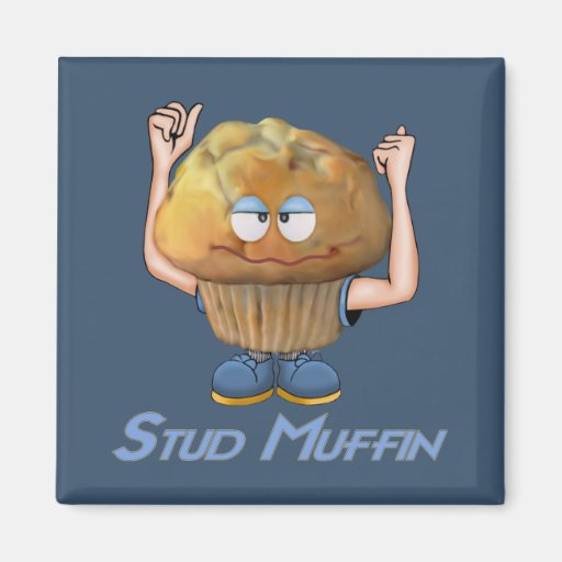 Humour de petit pain de goujon magnets pour réfrigérateur