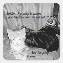 humour kitty stickers