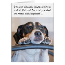 Humourous Birthday Card - Dog Pondering Life