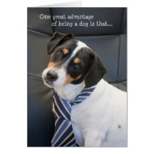 Humourous Birthday Card - Dog Wearing a Tie