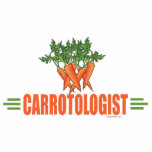 Humourous Carrot photo sculptures