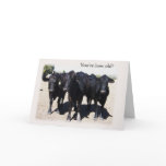 Humourous Cow "Getting Older" Birthday Card