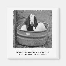 Humourous Goat Spa Day Magnet magnets