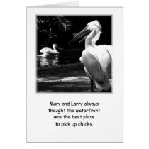 Humourous Pelicans cards