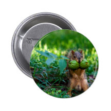 Humourous Squirrel with Two Nuts in Mouth Button