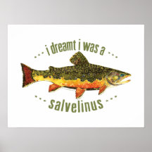 Humourous Trout Fishing Poster