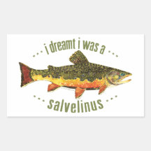 Humourous Trout Fishing Rectangular Stickers