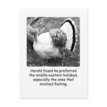 Humourous Turkey Thanksgiving Post Card
