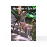 Humourous Wedding Best Wishes for a Special Couple cards