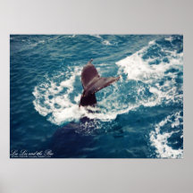 Humpback Tail, print