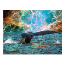 Humpback whale and Supernova Postcards