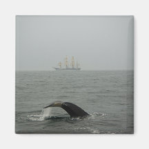 Humpback Whale and Tall Ship 2 Magnet