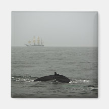 Humpback Whale and Tall Ship Magnet