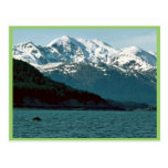 Humpback Whale Breaching in Southeast Alaska Post Cards