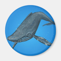 Humpback Whale Painting Fridge Magnet