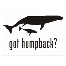 Humpback Whale Post Card