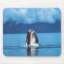 Humpback Whale Rising Mouse Pad