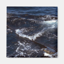 Humpback Whale Sounding (Tail Flukes) Magnets