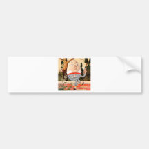 Humpty Dumpty Sat On a Wall in Wonderland Bumper Sticker