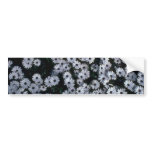 Hundreds Of White Flowers Bumper Stickers