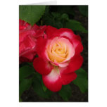 Hungarian-Boldog születésnapot-red rose Card