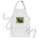 Hungarian Puli 9R70D-111 aprons