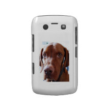 Hungarian Vizsla Blackberry Case