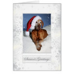 Hungarian Vizsla Christmas Card 007