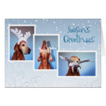 Hungarian Vizsla Christmas Card 011