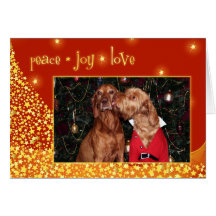 Hungarian Vizsla Christmas Card 012